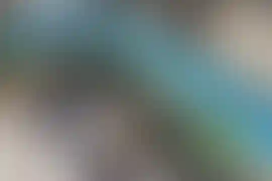 مهر ولایت