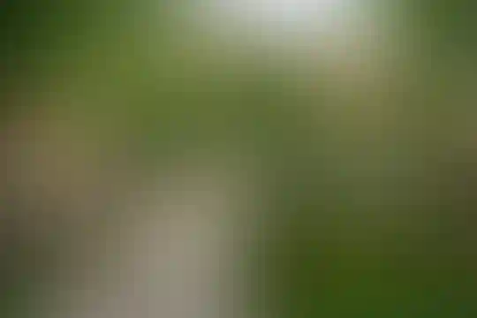 نیک پرور