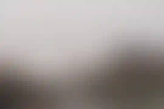 علوی