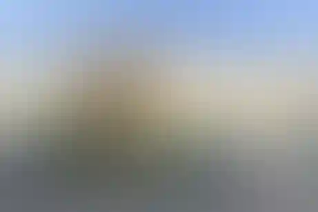 امام رضا واحد 9