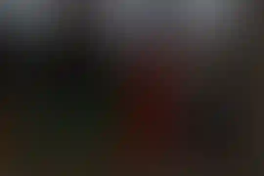 آرمینه مصلی نژاد