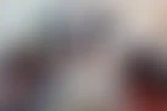 شهید کریم عباسی