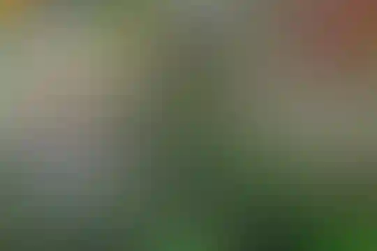 آسمان دانش