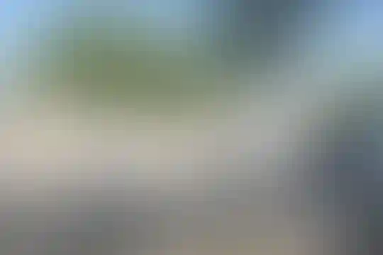 دانش پژوهان