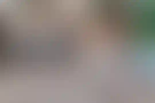 یادگار امام