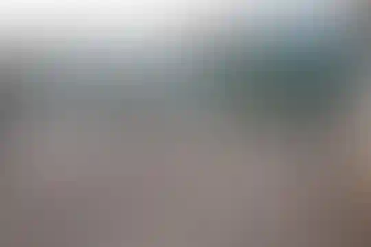 یادگار امام