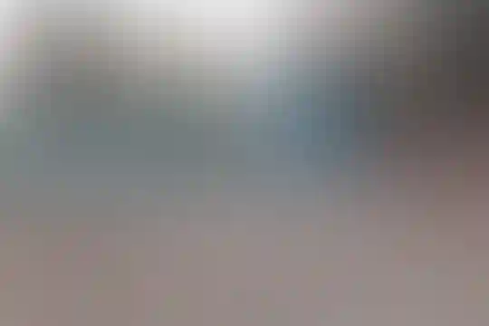 یادگار امام