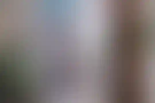 یادگار امام