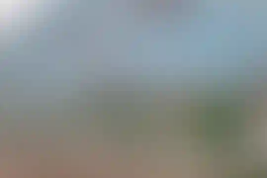 یادگار امام