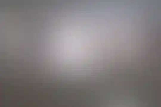 یادگار امام