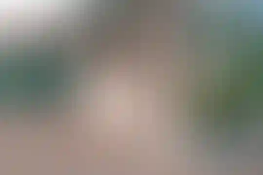 یادگار امام