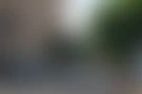 زنده یاد الویری