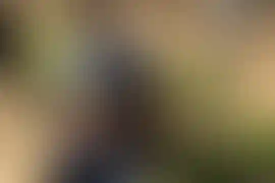 زنده یاد نوشین اسعدی