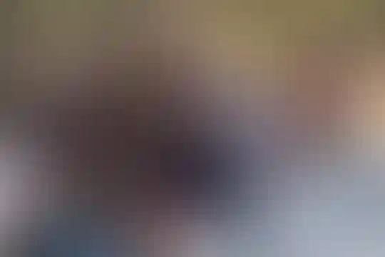 زنده یاد نوشین اسعدی