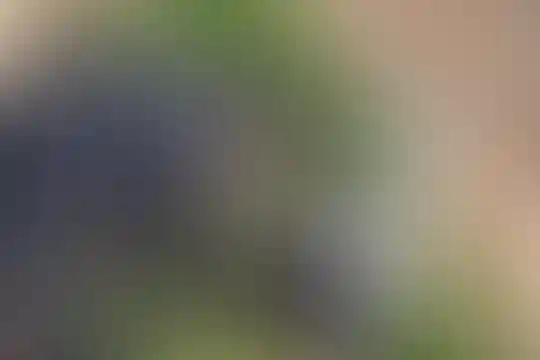 زنده یاد نوشین اسعدی