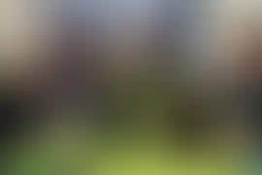 زنده یاد نوشین اسعدی