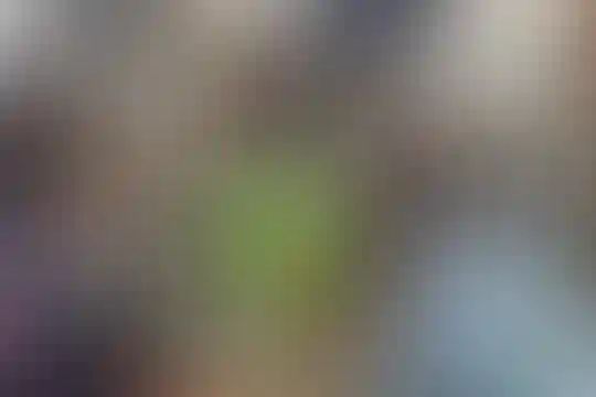 زنده یاد نوشین اسعدی