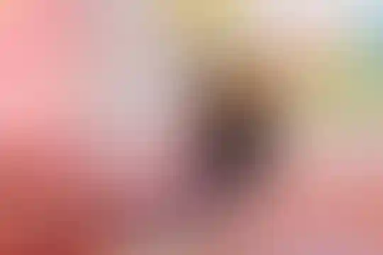 مهردخت