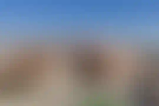 امام رضا واحد 14