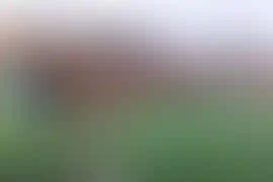 حاج جعفر برزگر