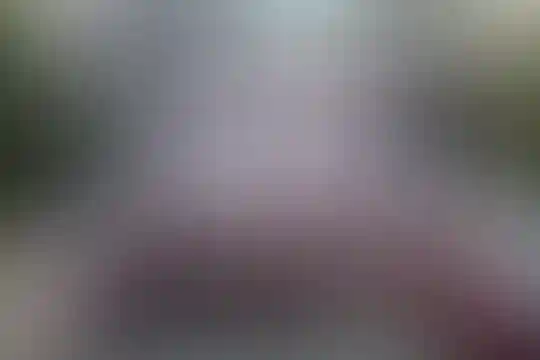 نوآوران