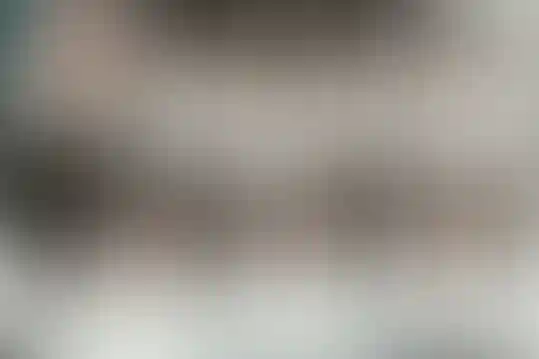 نوآوران