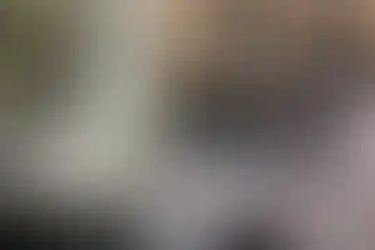 پویان مهر