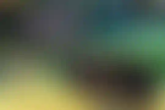 پویان مهر