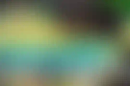 پویان مهر