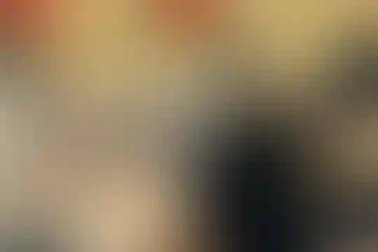 پویان مهر
