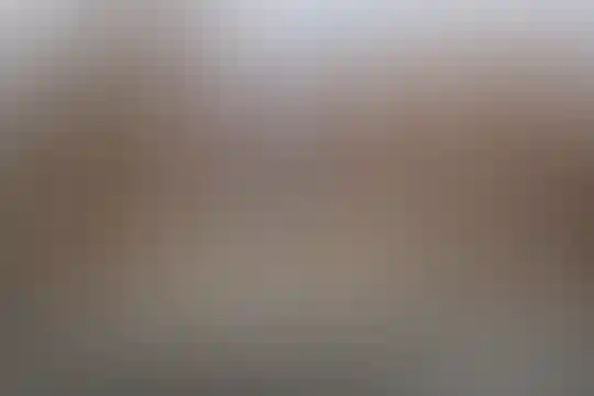 فرهنگیان شهید صدوقی