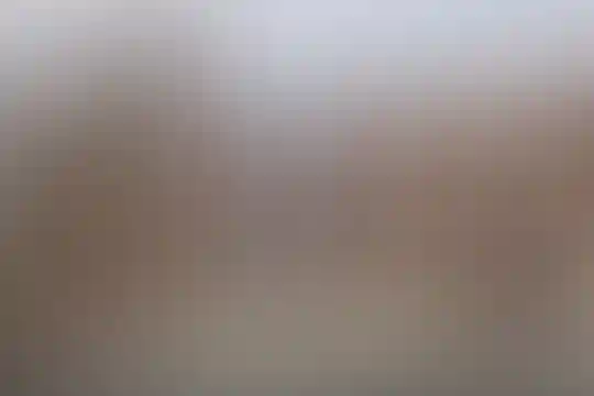 شهید صدوقی 2