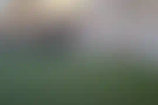 فرزندان یوسف آباد