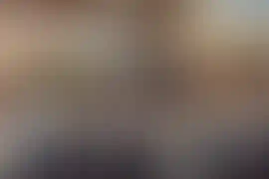 شهید سید فاطمی