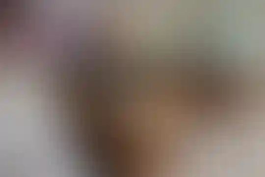 شهید سید فاطمی