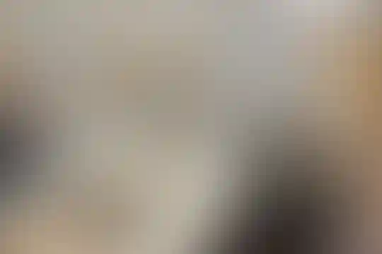 شهید سید فاطمی