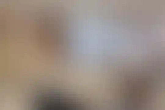 شهید سید فاطمی