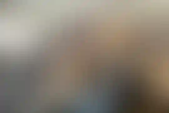 شهید سید فاطمی