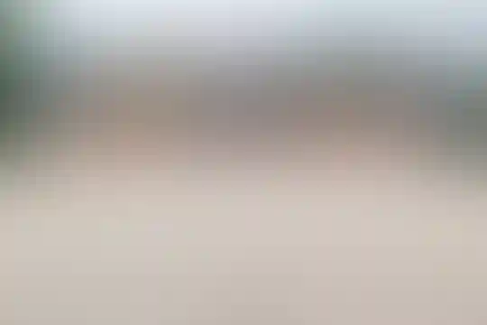 ندای رسا 3