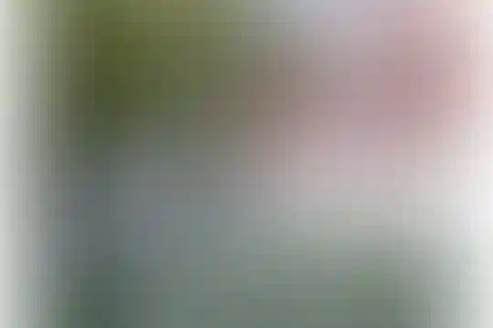 آوای نور