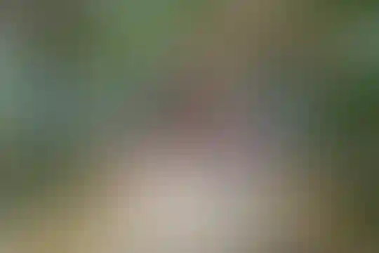 نوید