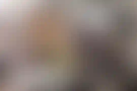 شهید فهمیده
