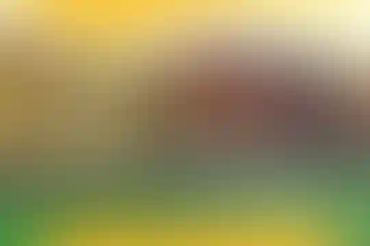 هدایت
