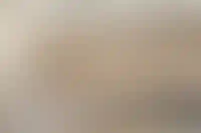 فرزندان میهن