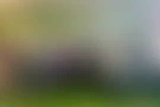 مهبد