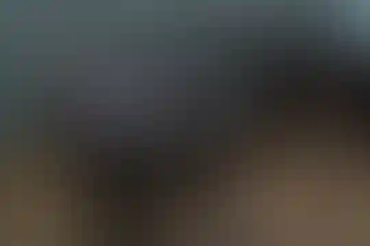 مهبد