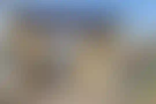 سید ایمان حسینی 2