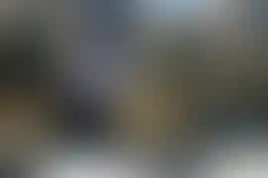 فرّ دانش