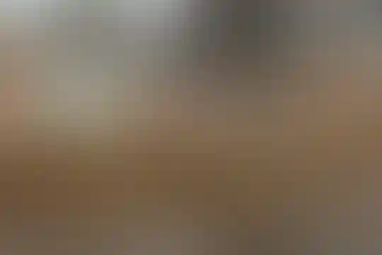 مرادیان نژاد 2