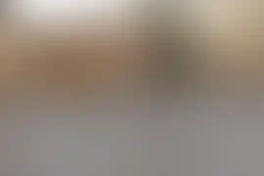 مرادیان نژاد 2